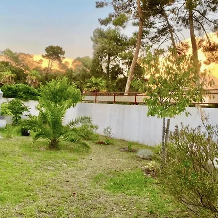 Spacious House In Near The