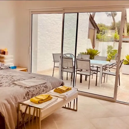 Spacious House In Near The *