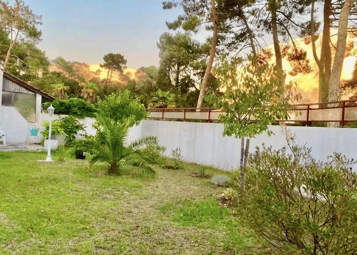 Spacious House In Near The